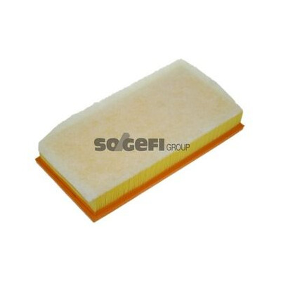 Filtro aria PURFLUX A1208