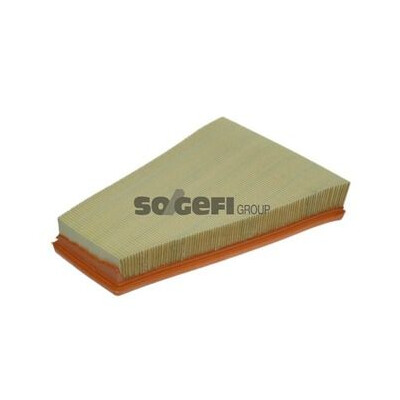 Filtro aria PURFLUX A1224