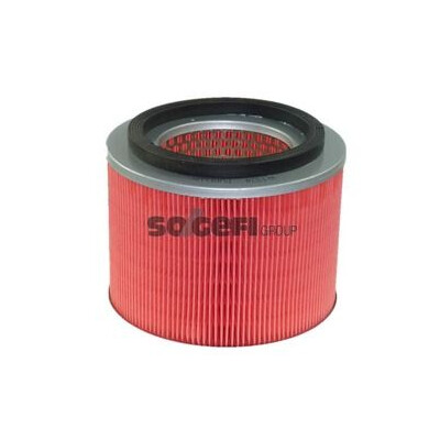 Filtro aria PURFLUX A1324