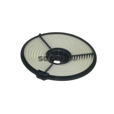 Filtro aria PURFLUX A1358