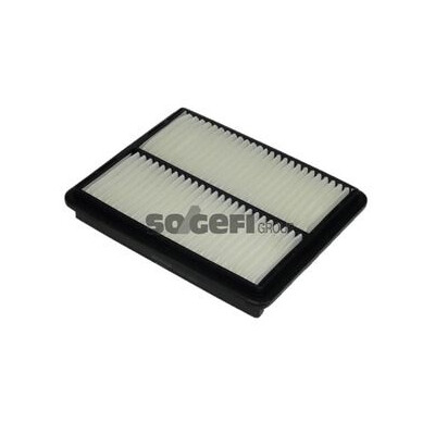 Filtro aria PURFLUX A1367