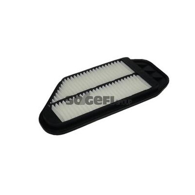 Filtro aria PURFLUX A1405
