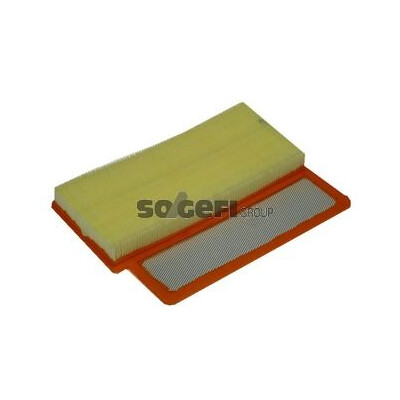 Filtro aria PURFLUX A1459
