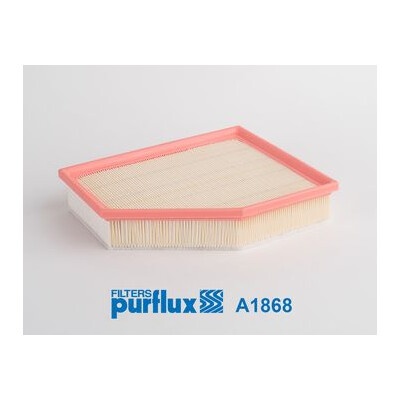 Filtro aria PURFLUX A1868