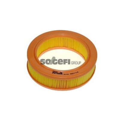 Filtro aria PURFLUX A194
