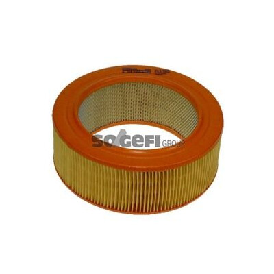 Filtro aria PURFLUX A196