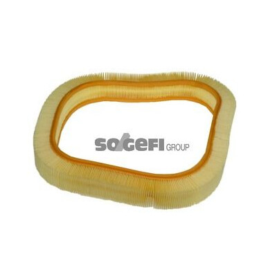 Filtro aria PURFLUX A201