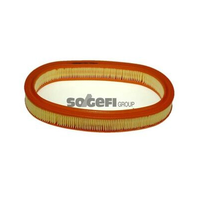 Filtro aria PURFLUX A203