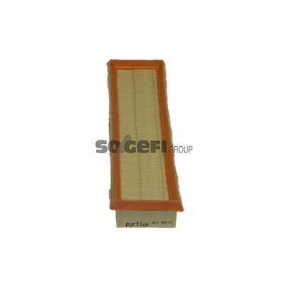 Filtro aria PURFLUX A219