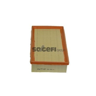 Filtro aria PURFLUX A246