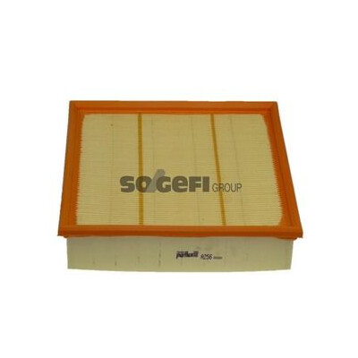 Filtro aria PURFLUX A256