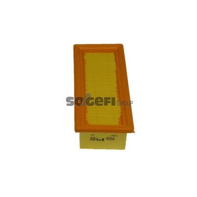 Filtro aria PURFLUX A258