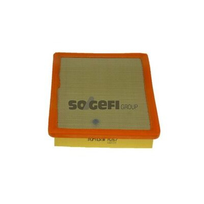 Filtro aria PURFLUX A267