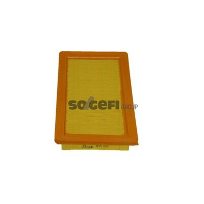 Filtro aria PURFLUX A275