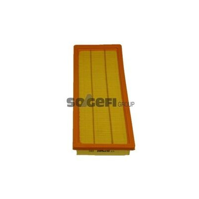 Filtro aria PURFLUX A276