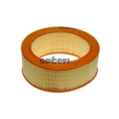 Filtro aria PURFLUX A278