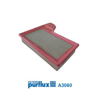 Filtro aria PURFLUX A3060