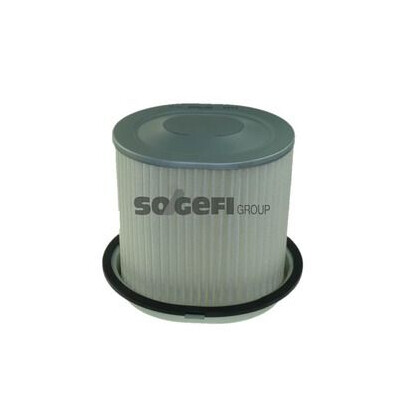 Filtro aria PURFLUX A308