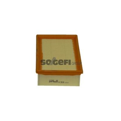 Filtro aria PURFLUX A309