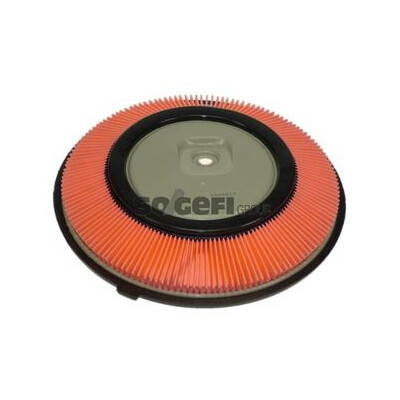 Filtro aria PURFLUX A314