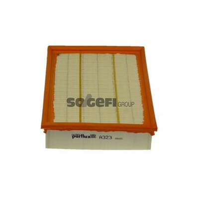 Filtro aria PURFLUX A323