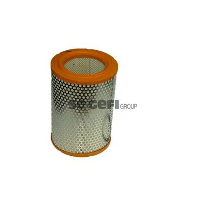 Filtro aria PURFLUX A337