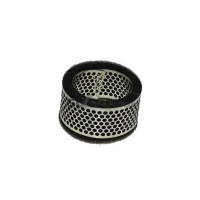 Filtro aria PURFLUX A407