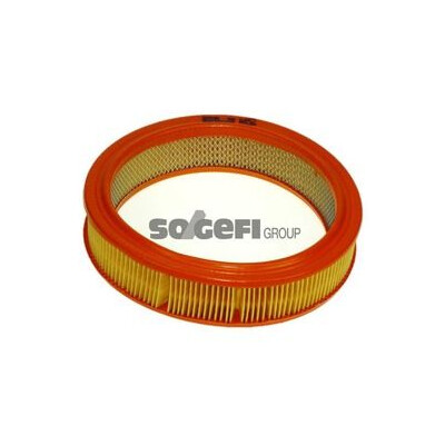 Filtro aria PURFLUX A452