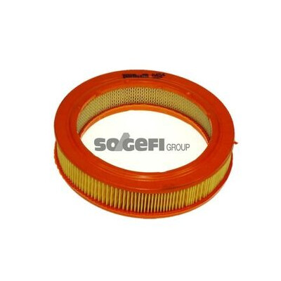 Filtro aria PURFLUX A454