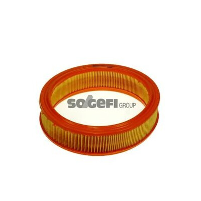 Filtro aria PURFLUX A455