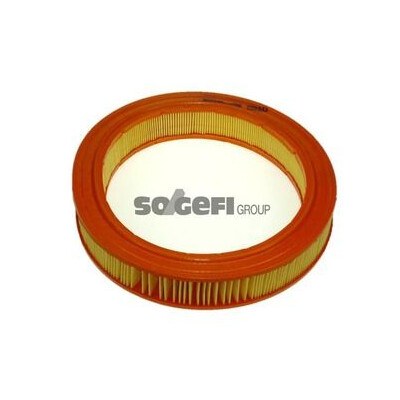 Filtro aria PURFLUX A510
