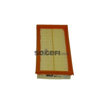 Filtro aria PURFLUX A517