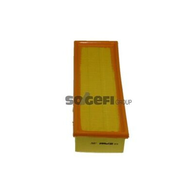 Filtro aria PURFLUX A578