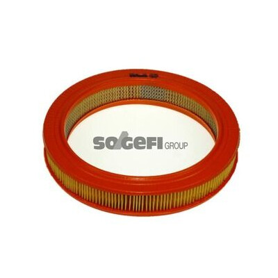 Filtro aria PURFLUX A586