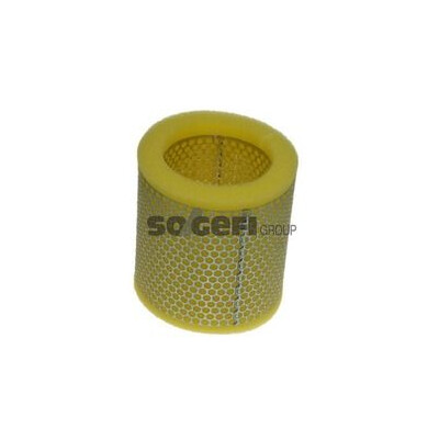 Filtro aria PURFLUX A591