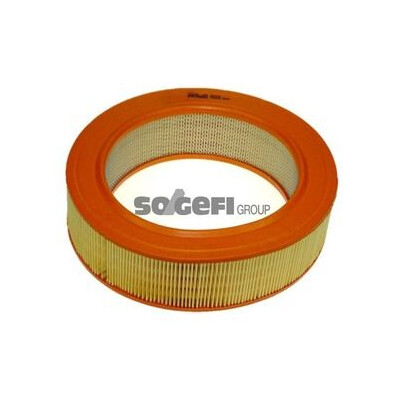Filtro aria PURFLUX A604