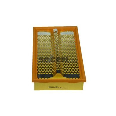 Filtro aria PURFLUX A641