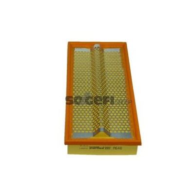 Filtro aria PURFLUX A648