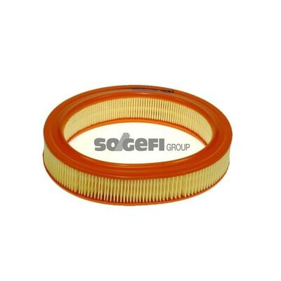 Filtro aria PURFLUX A649