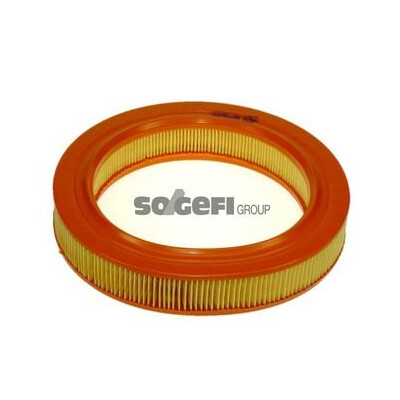 Filtro aria PURFLUX A752
