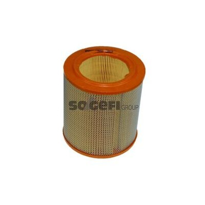 Filtro aria PURFLUX A818