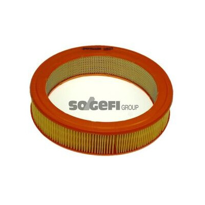Filtro aria PURFLUX A822