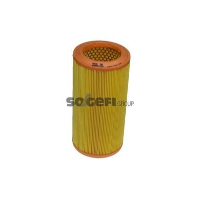 Filtro aria PURFLUX A859