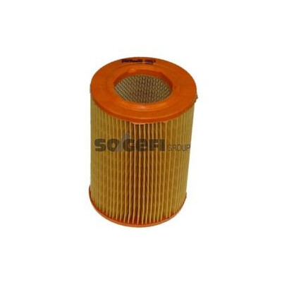 Filtro aria PURFLUX A863