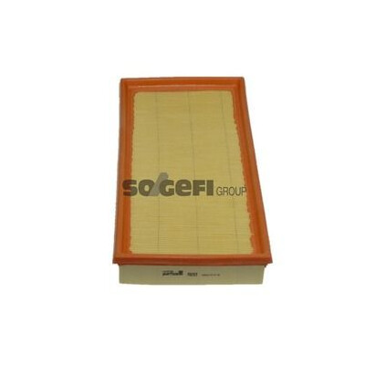 Filtro aria PURFLUX A893
