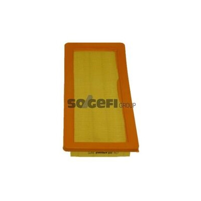 Filtro aria PURFLUX A927