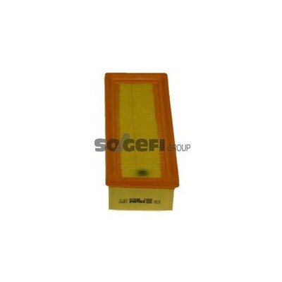 Filtro aria PURFLUX A928