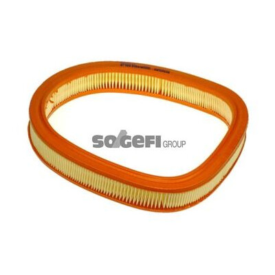 Filtro aria PURFLUX A959
