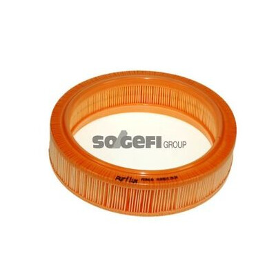 Filtro aria PURFLUX A960