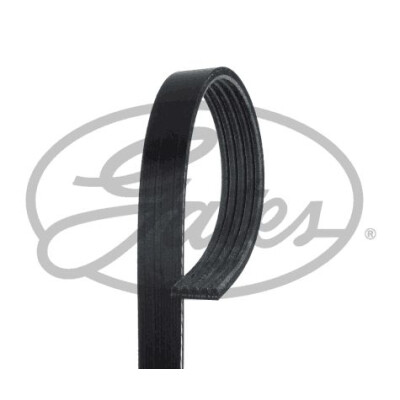 Cinghia Poly-V GATES 5PK820HD